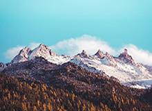 口感方面来说-新疆喀什和法兰西西梅哪个好吃