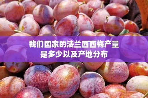 我们国家的法兰西西梅产量是多少以及产地分布 我们国家的法兰西西梅产量是多少以及产地分布