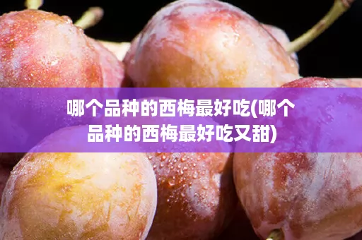 哪个品种的西梅最好吃(哪个品种的西梅最好吃又甜)