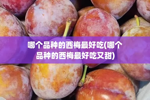 哪个品种的西梅最好吃(哪个品种的西梅最好吃又甜)