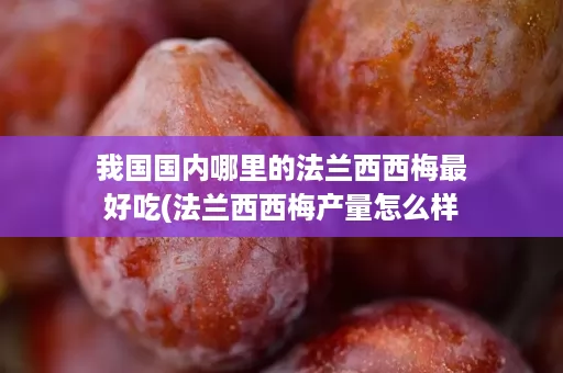 我国国内哪里的法兰西西梅最好吃(法兰西西梅产量怎么样)