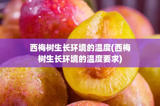 西梅树生长环境的温度(西梅树生长环境的温度要求)