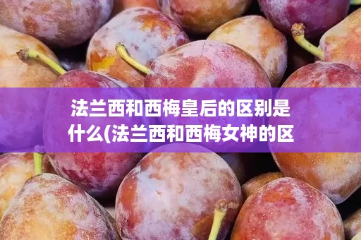 法兰西和西梅皇后的区别是什么(法兰西和西梅女神的区别)