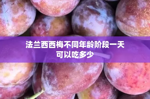 法兰西西梅不同年龄阶段一天可以吃多少 法兰西西梅不同年龄阶段一天可以吃多少