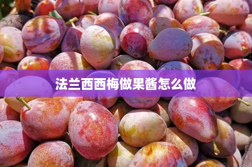 法兰西西梅做果酱怎么做