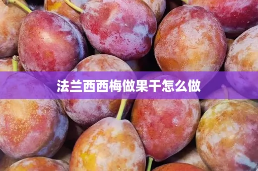 法兰西西梅做果干怎么做