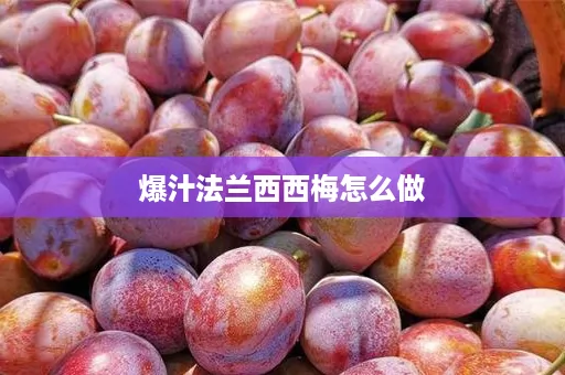 爆汁法兰西西梅怎么做