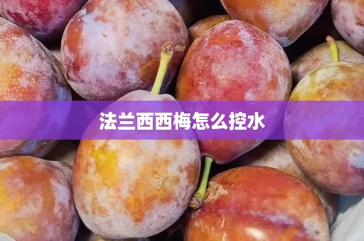 法兰西西梅怎么控水