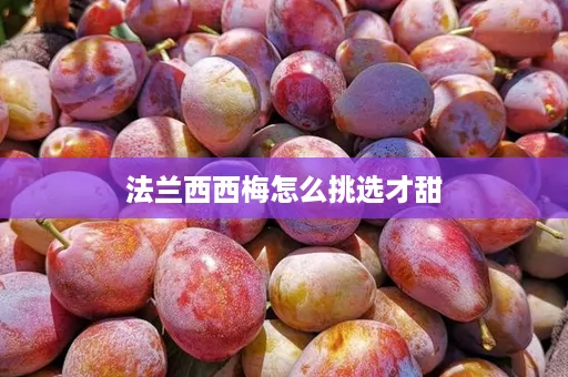 法兰西西梅怎么挑选才甜