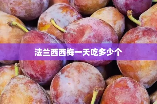 法兰西西梅一天吃多少个