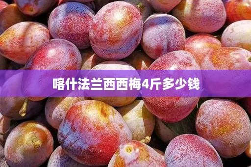 喀什法兰西西梅4斤多少钱