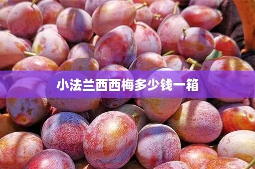 小法兰西西梅多少钱一箱