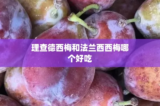 理查德西梅和法兰西西梅哪个好吃