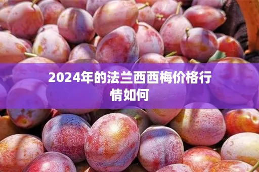 2024年的法兰西西梅价格行情如何