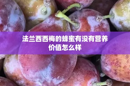 法兰西西梅的蜂蜜有没有营养价值怎么样