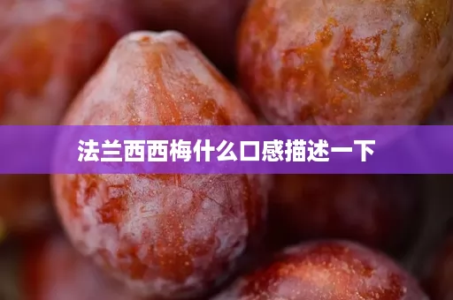 法兰西西梅什么口感描述一下