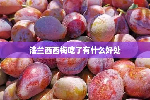 法兰西西梅吃了有什么好处 法兰西西梅吃了有什么好处
