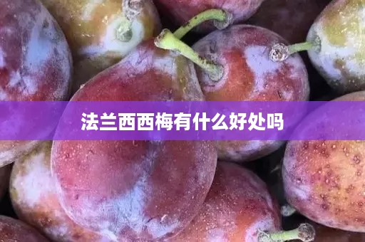 法兰西西梅有什么好处吗