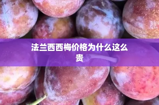 法兰西西梅价格为什么这么贵