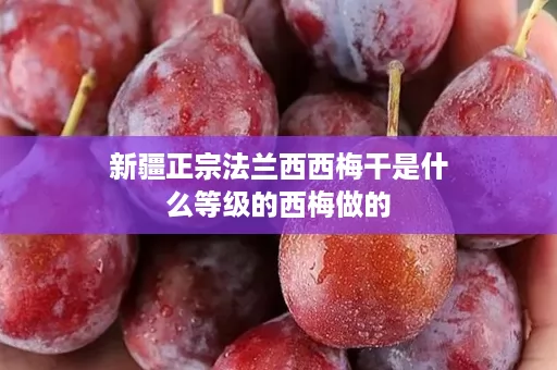 新疆正宗法兰西西梅干是什么等级的西梅做的