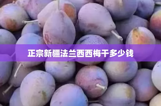 正宗新疆法兰西西梅干多少钱