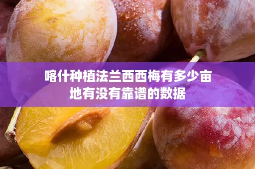喀什种植法兰西西梅有多少亩地有没有靠谱的数据 喀什种植法兰西西梅有多少亩地有没有靠谱的数据