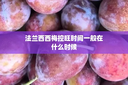 法兰西西梅控旺时间一般在什么时候