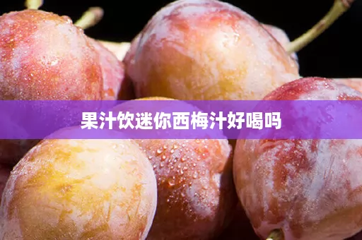 果汁饮迷你西梅汁好喝吗