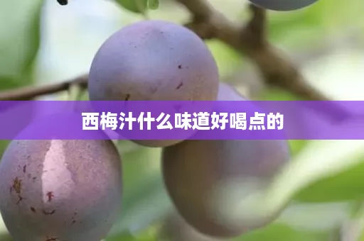 西梅汁什么味道好喝点的 西梅汁什么味道好喝点的