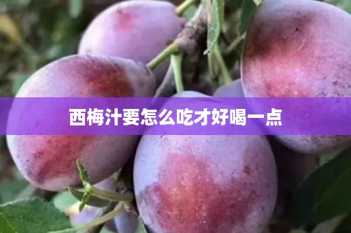 西梅汁要怎么吃才好喝一点