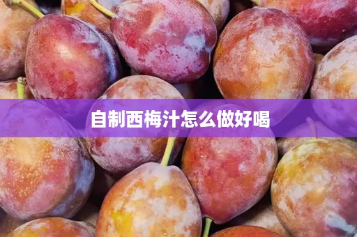 自制西梅汁怎么做好喝 自制西梅汁怎么做好喝