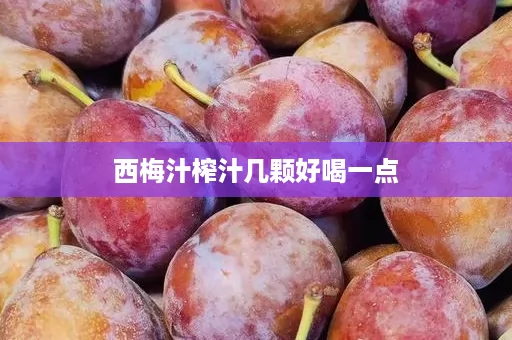西梅汁榨汁几颗好喝一点 西梅汁榨汁几颗好喝一点