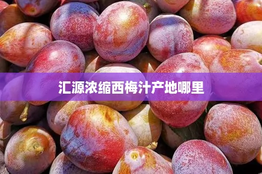 汇源浓缩西梅汁产地哪里