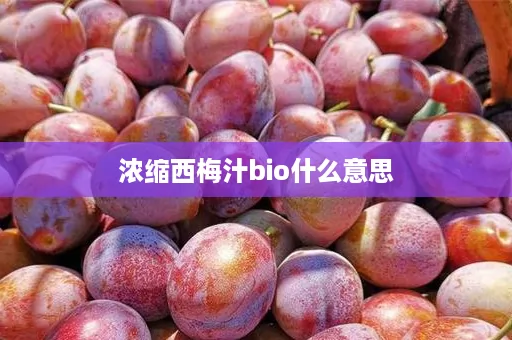 浓缩西梅汁bio什么意思 浓缩西梅汁bio什么意思