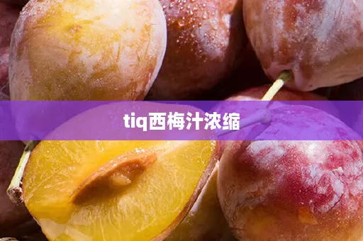 tiq西梅汁浓缩