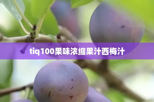 tiq100果味浓缩果汁西梅汁 tiq100果味浓缩果汁西梅汁
