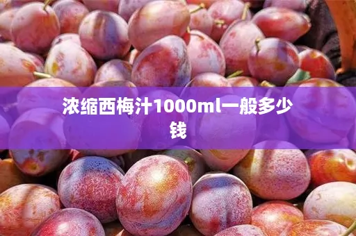 浓缩西梅汁1000ml一般多少钱 浓缩西梅汁1000ml一般多少钱