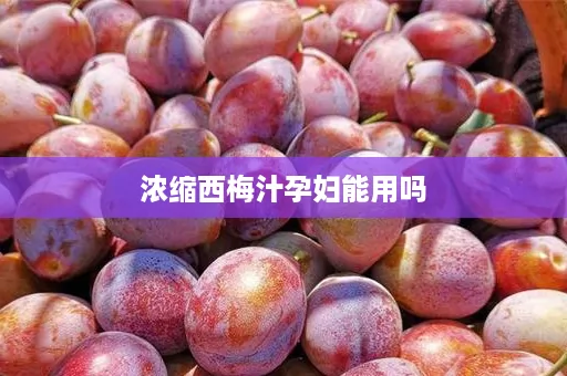 浓缩西梅汁孕妇能用吗