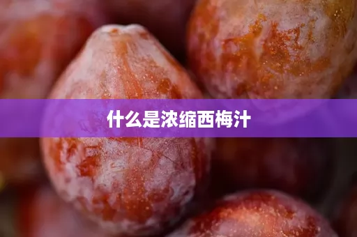 什么是浓缩西梅汁 什么是浓缩西梅汁