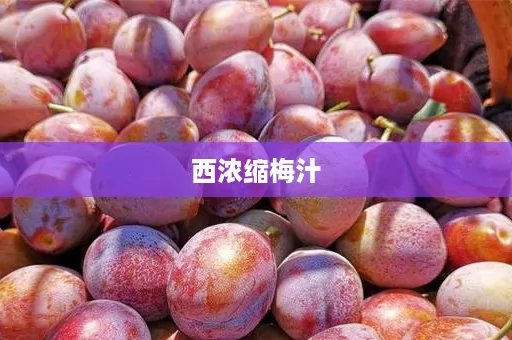 西浓缩梅汁
