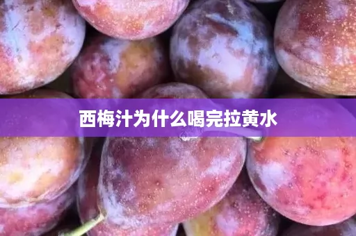 西梅汁为什么喝完拉黄水