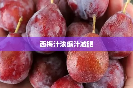 西梅汁浓缩汁减肥