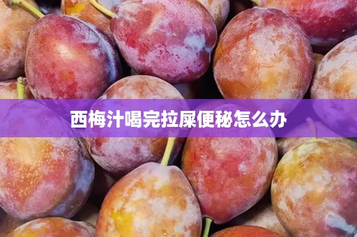 西梅汁喝完拉屎便秘怎么办 西梅汁喝完拉屎便秘怎么办