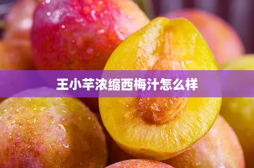 王小芊浓缩西梅汁怎么样