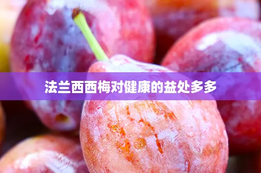 法兰西西梅对健康的益处多多 法兰西西梅对健康的益处多多