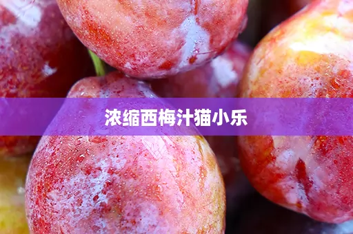 浓缩西梅汁猫小乐