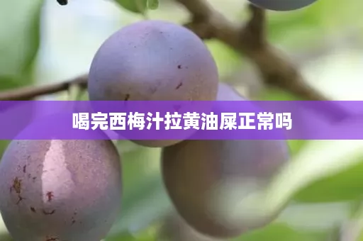 喝完西梅汁拉黄油屎正常吗