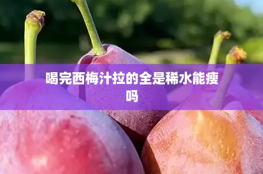 喝完西梅汁拉的全是稀水能瘦吗