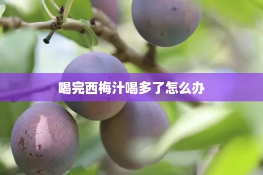 喝完西梅汁喝多了怎么办