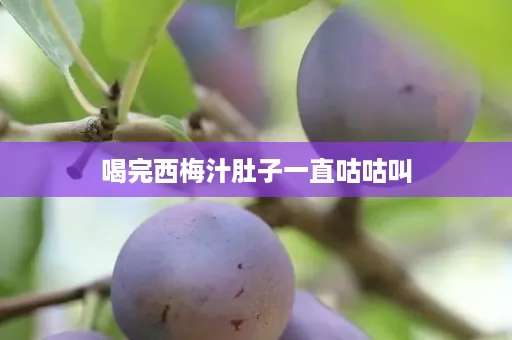 喝完西梅汁肚子一直咕咕叫